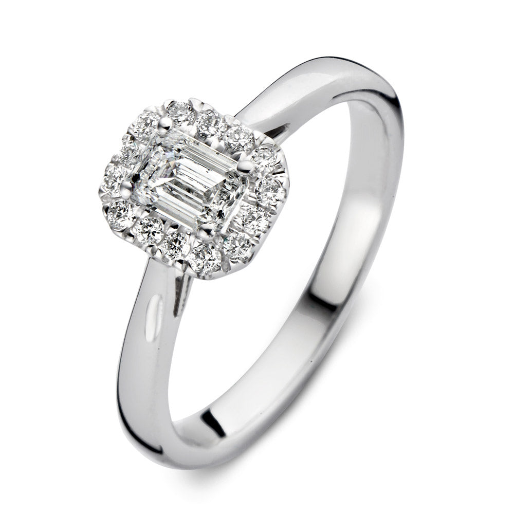 RA25300066 Aurore