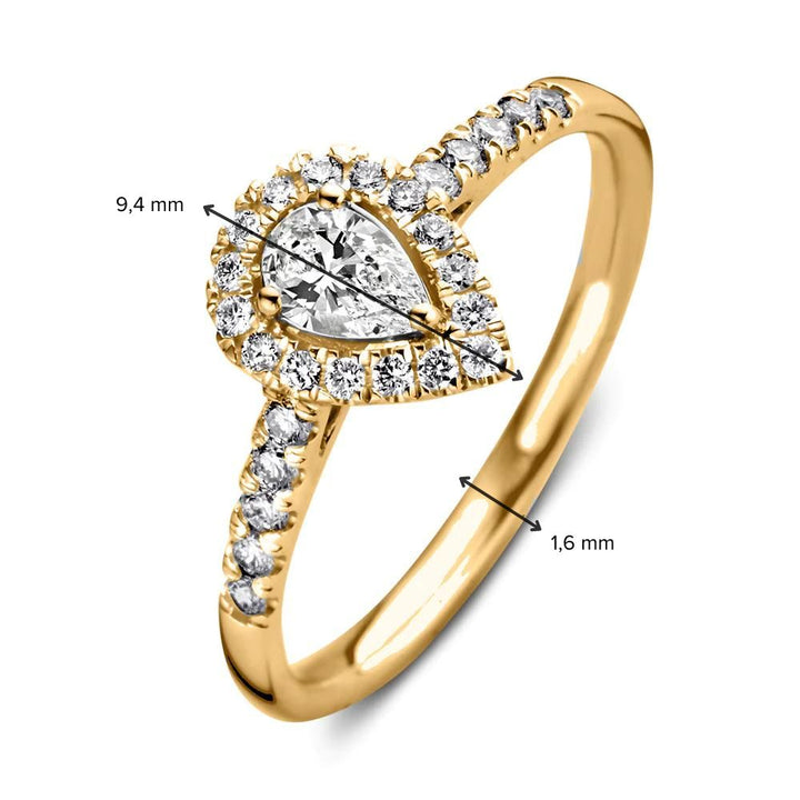 Ring Elin royal 0,50 crt. geelgoud