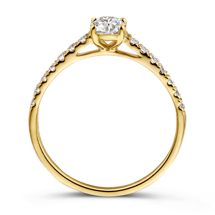 Ring Franky Royal 0,75 crt. geelgoud